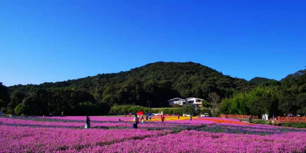 石门花海